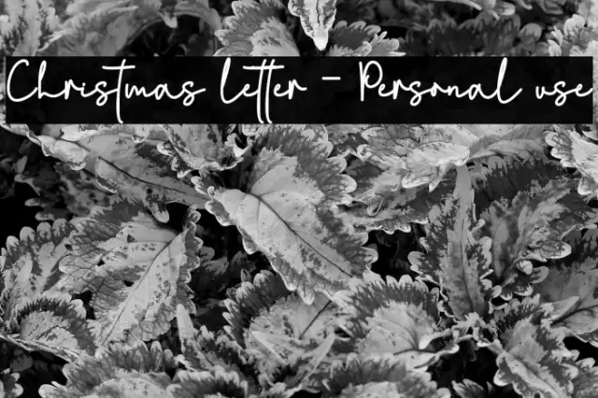 Christmas letter - Personal use خط examples