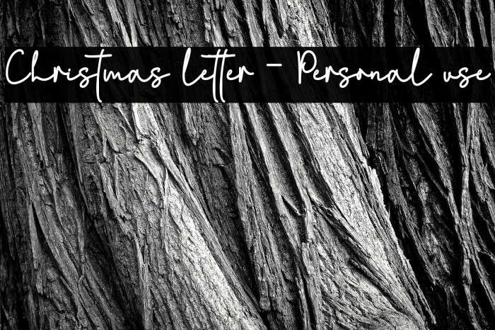Christmas letter - Personal use Example 2