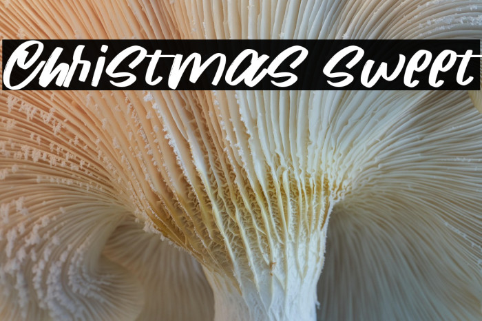 Christmas sweet Example 1