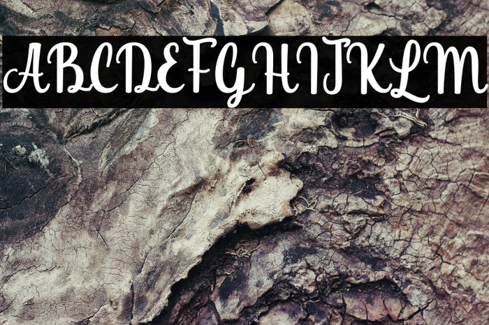 ChristmasHalcyonPersonalUse-R Example 2