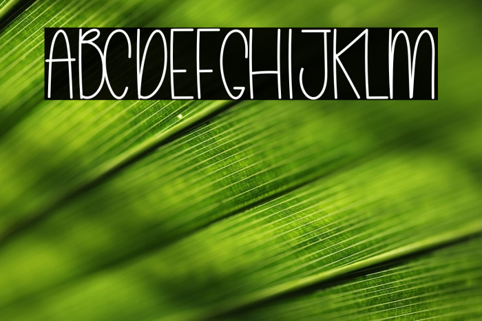 ChristmasHandwriting Example 2