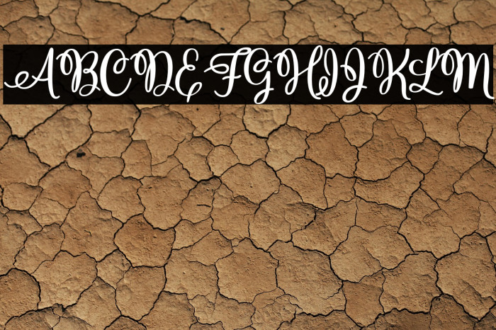 ChristmasHollandPersonalUse-R Example 1