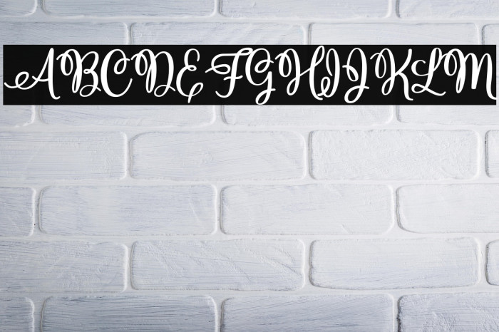 ChristmasHollandPersonalUse-R Example 2