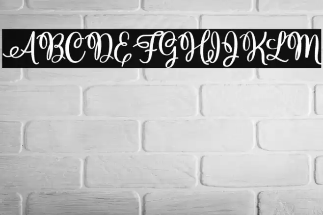 ChristmasHollandPersonalUse-R Font examples