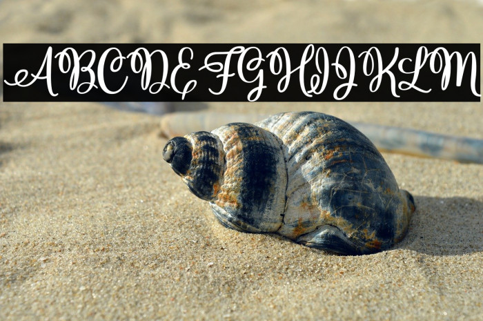 ChristmasHollandPersonalUse-R Example 3