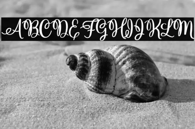 ChristmasHollandPersonalUse-R Font examples