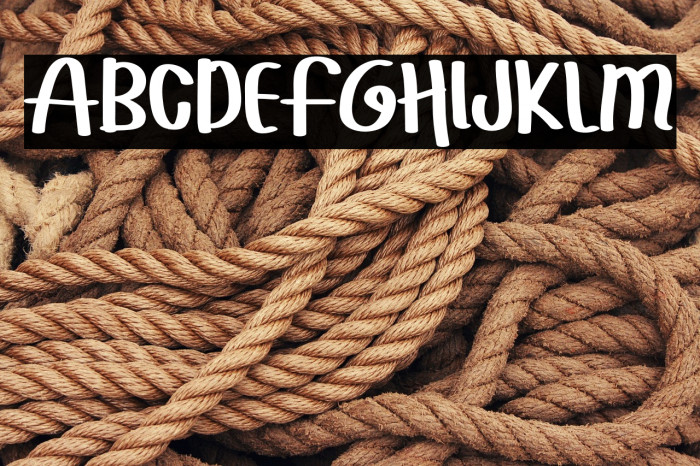 ChristmasSantaRegular Example 3