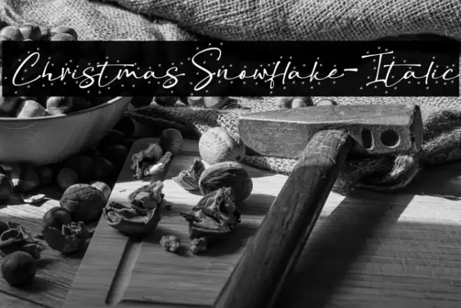 ChristmasSnowflake-Italic Font examples