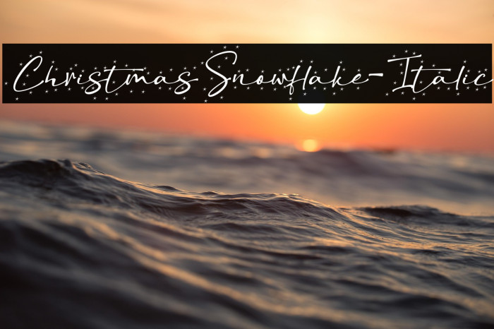 ChristmasSnowflake-Italic Example 3