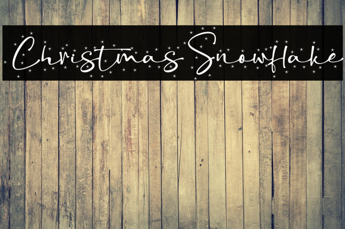 ChristmasSnowflake Example 1