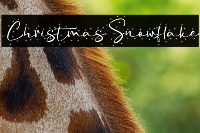 ChristmasSnowflake Example 2