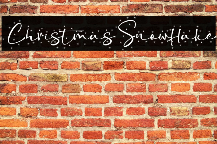 ChristmasSnowflake Example 3