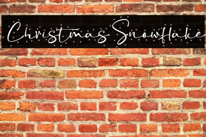 ChristmasSnowflake Example 3