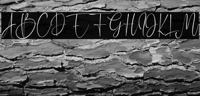 ChristmasSunday Font examples