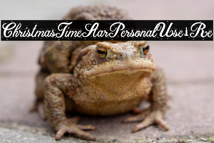 ChristmasTimeStarPersonalUse-Re Example 3