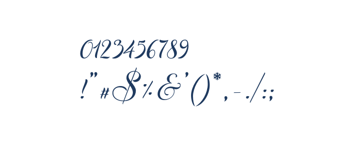 ChristmasWish-Calligraphy Other Characters