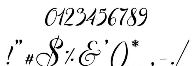 ChristmasWish-Calligraphy Font OTHER CHARS