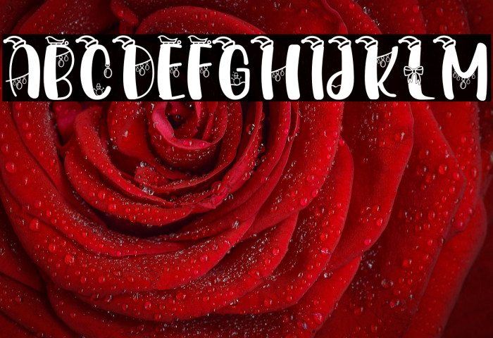 Christmasland Decorative Example 3