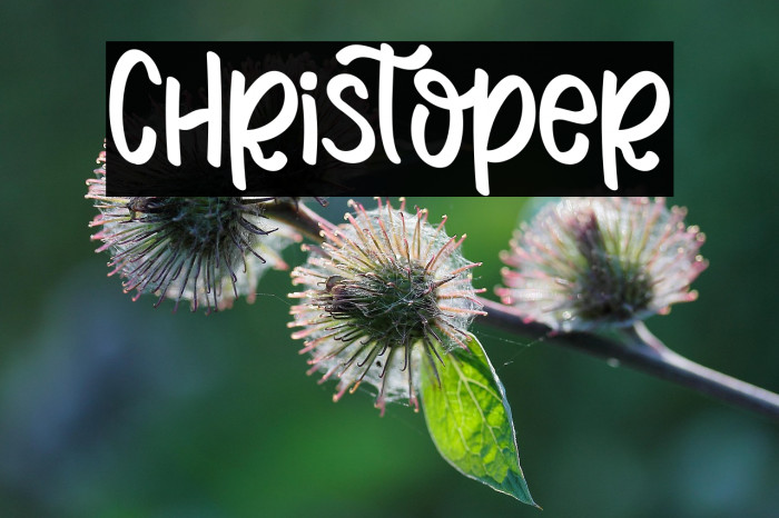 Christoper Example 1