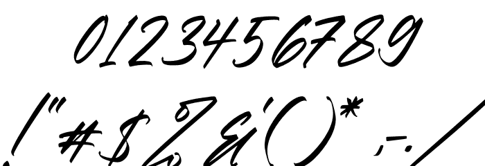 Christopher Signature Italic Font OTHER CHARS