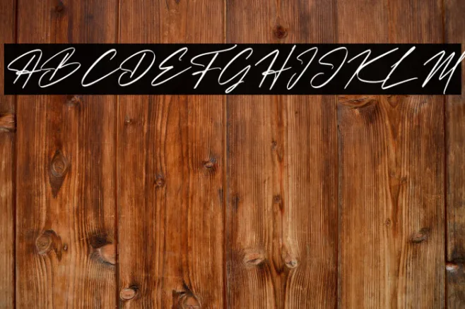 Christopher Signature Italic Example 2