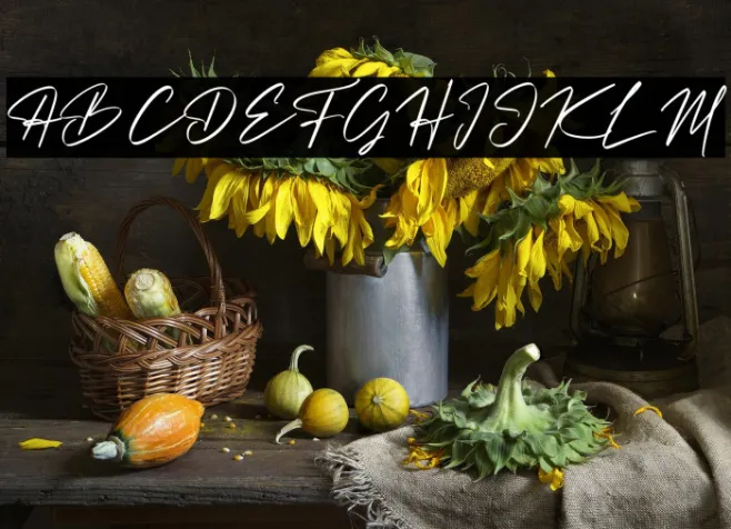 Christopher Signature Example 2