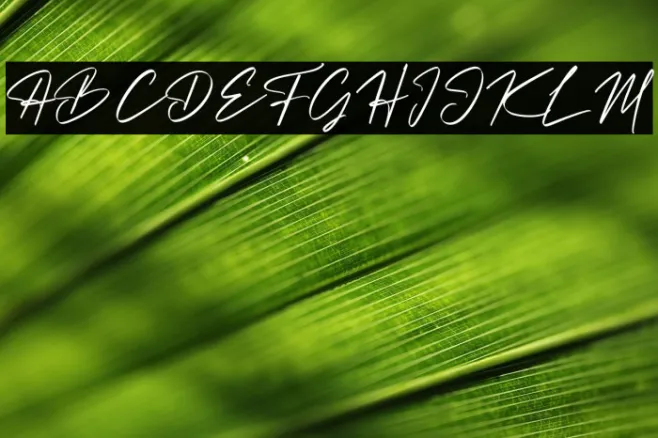 Christopher Signature Example 3