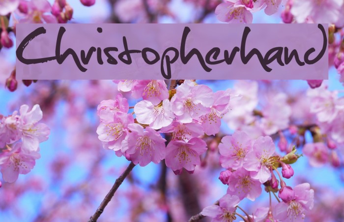 Christopherhand Font examples