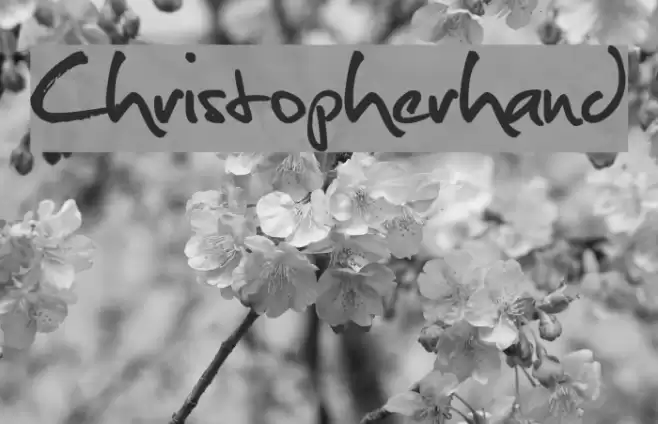 Christopherhand フォント examples