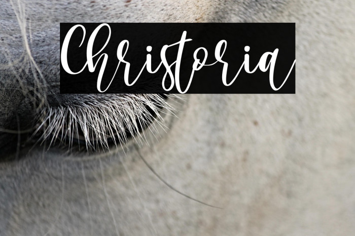 Christoria Example 2