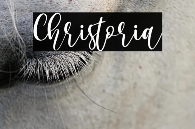 Christoria Example 2