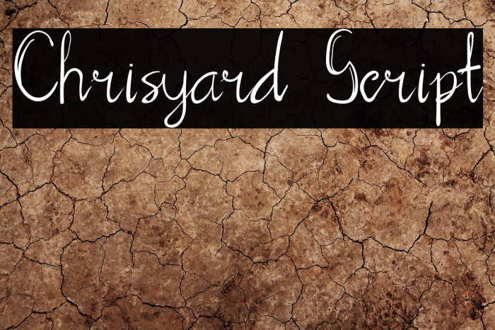 Chrisyard Script Example 3