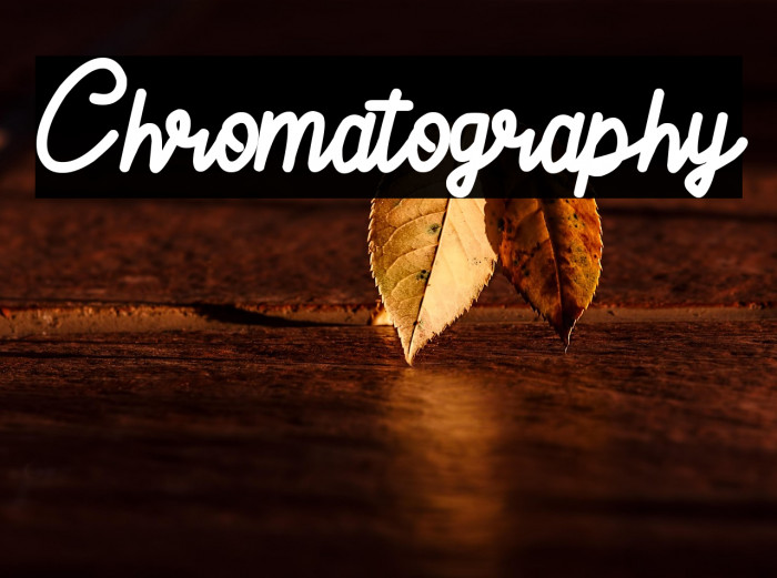 Chromatography Example 1