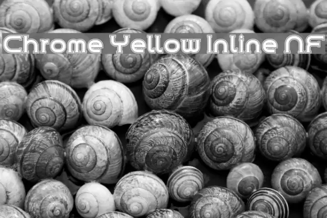 Chrome Yellow Inline NF Font examples