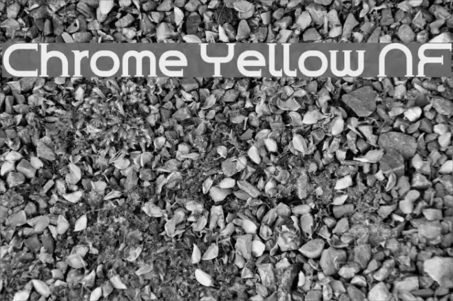 Chrome Yellow NF Font examples