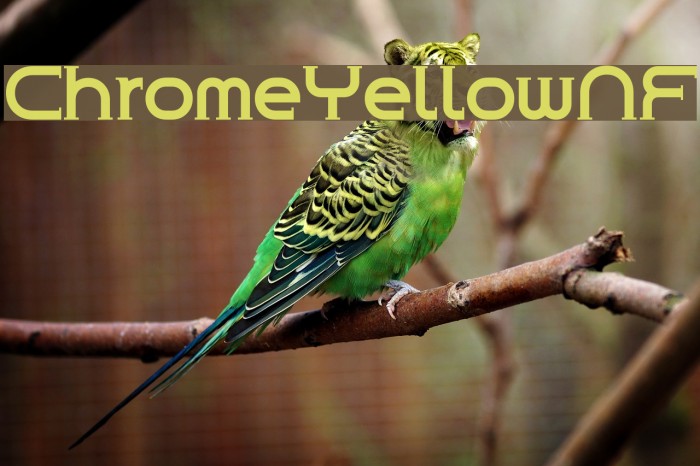 ChromeYellowNF Font examples