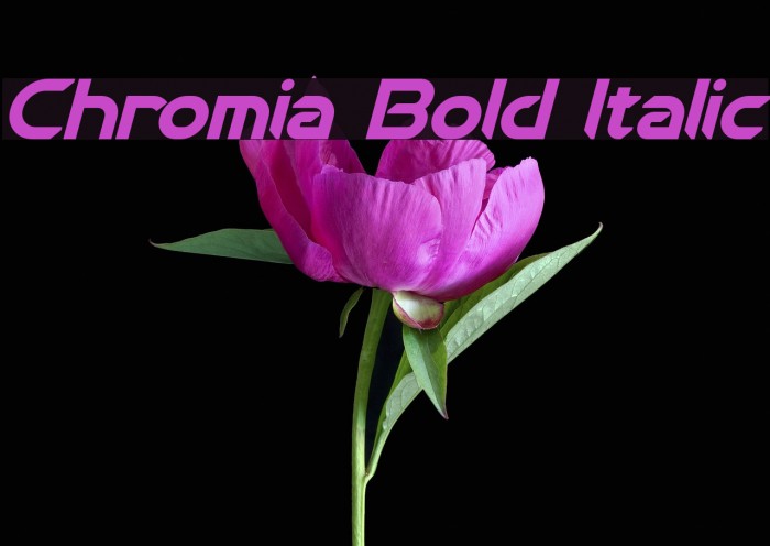 Chromia Bold Italic Fonte examples