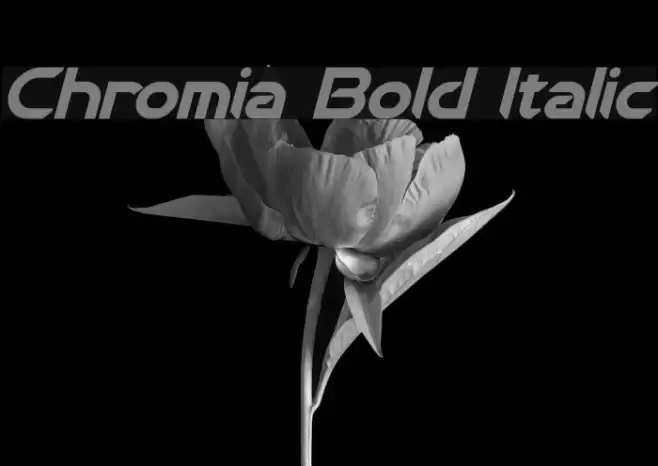 Chromia Bold Italic Font examples