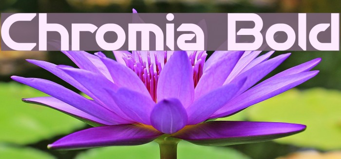 Chromia Bold Example 1