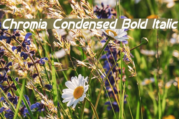 Chromia Condensed Bold Italic Font examples