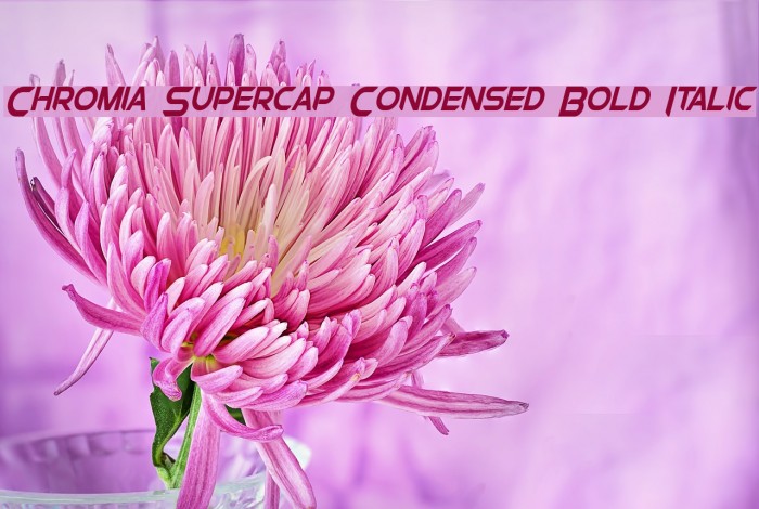 Chromia Supercap Condensed Bold Italic Example 1