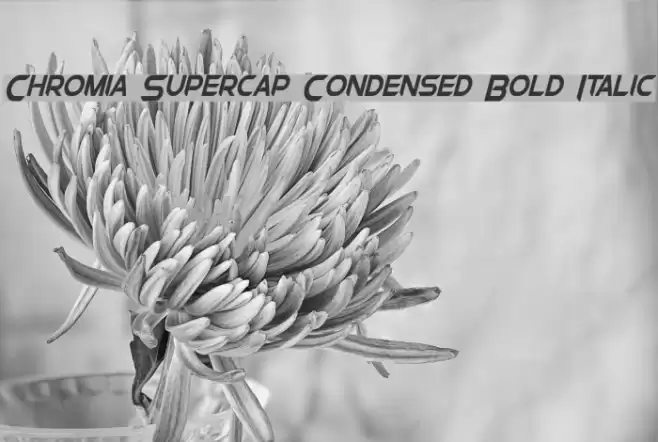 Chromia Supercap Condensed Bold Italic Font examples