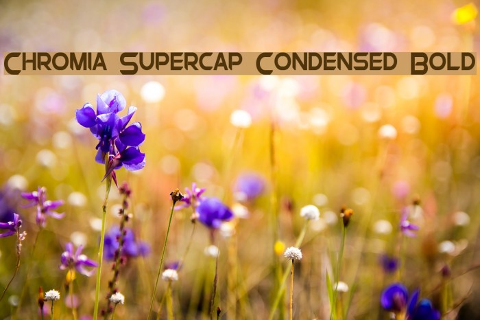 Chromia Supercap Condensed Bold Fonte examples