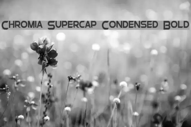 Chromia Supercap Condensed Bold Font examples