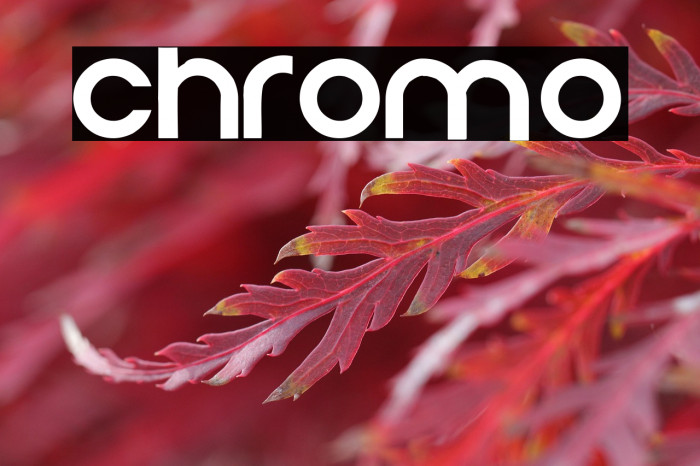 Chromo Example 1