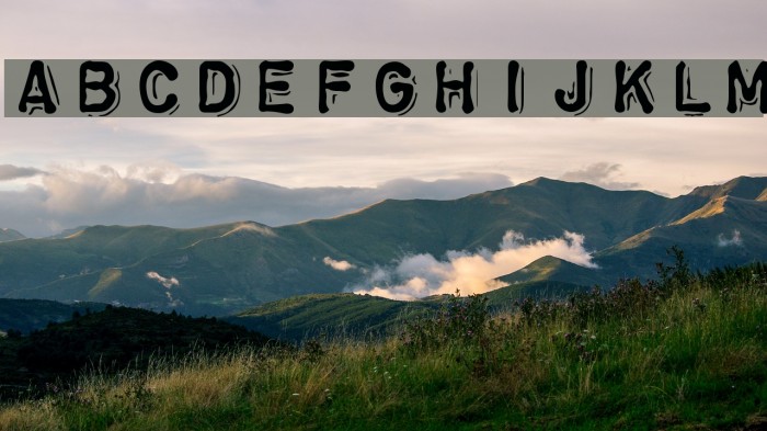 ChromosomeHeavy Font examples
