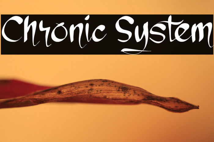 Chronic System Example 1
