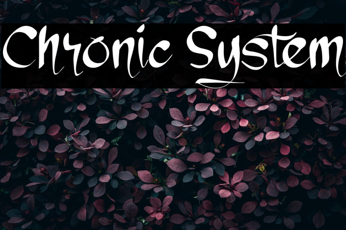 Chronic System Example 2