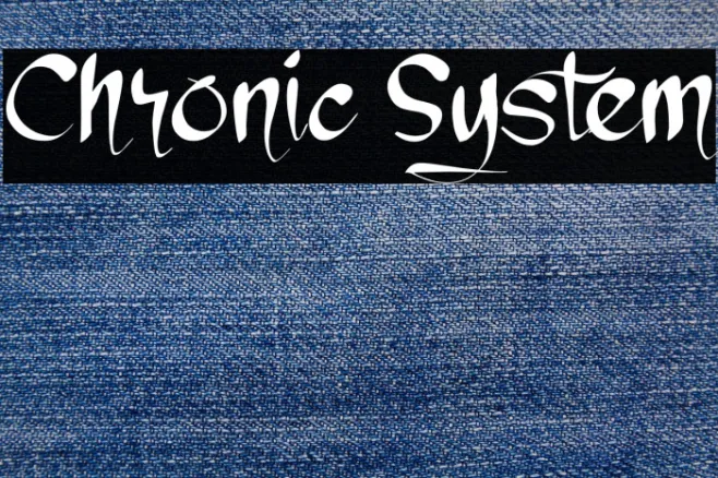 Chronic System Example 3