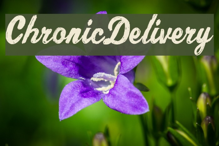 ChronicDelivery Font examples